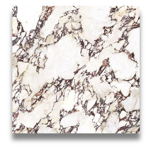 Wonderland Calacatta Viola 1200x1200mm