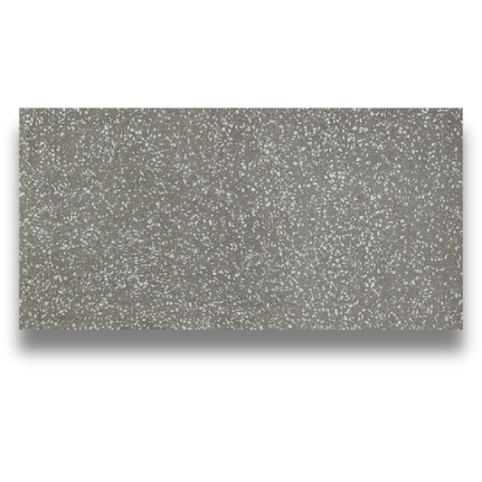 Marvel Gem Terrazzo Polished Grey
