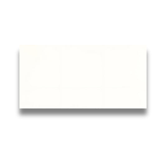Basics White Gloss 300x600mm