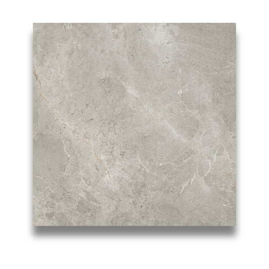 Stellar Silver External 600x600mm