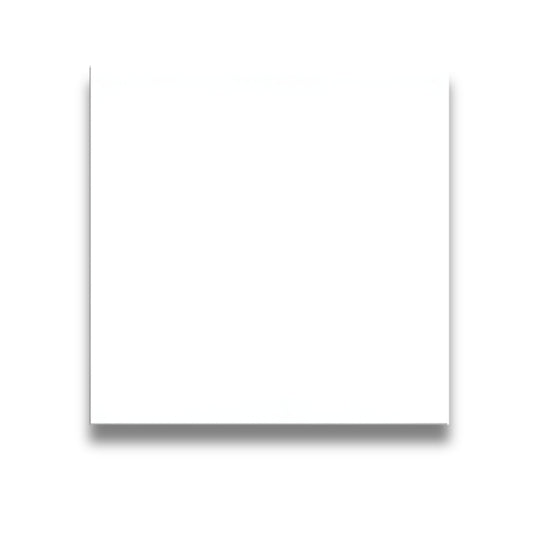 Basics Plain White Gloss 200x200mm