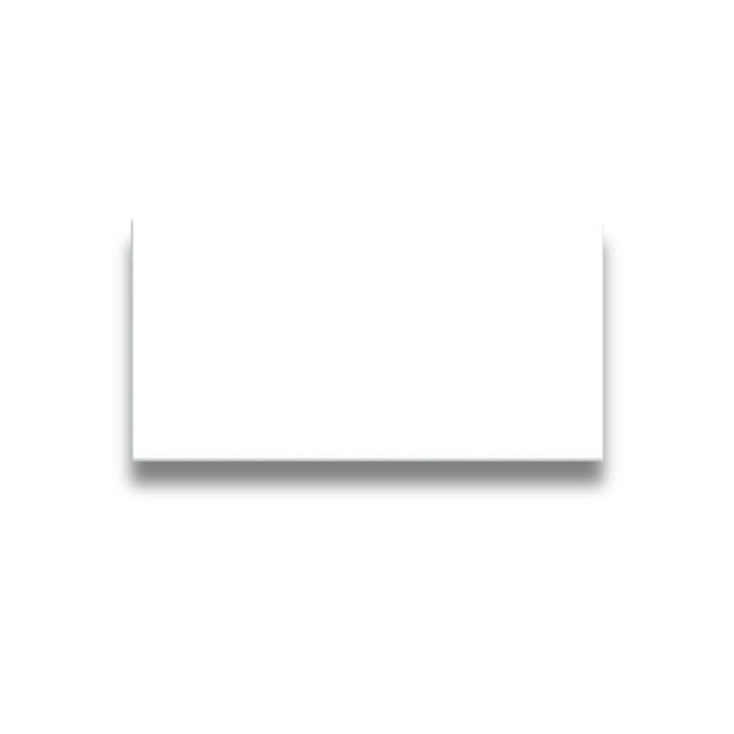 Basics Plain White Gloss 100x200mm