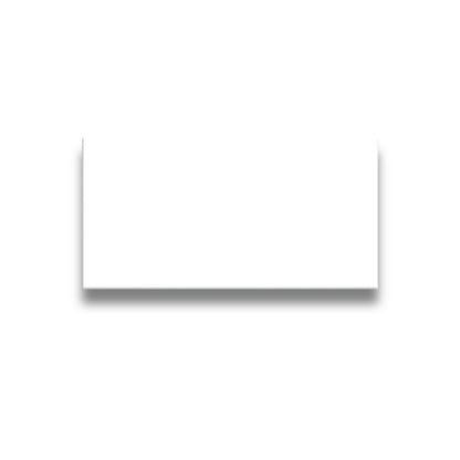 Basics Plain White Gloss 100x200mm