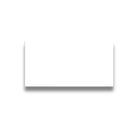 Basics Plain White Gloss 100x200mm