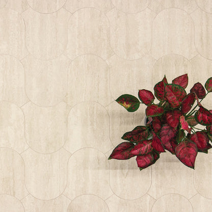 Tufa Vein Cut Campana Ivory Vein Matt 220x245mm