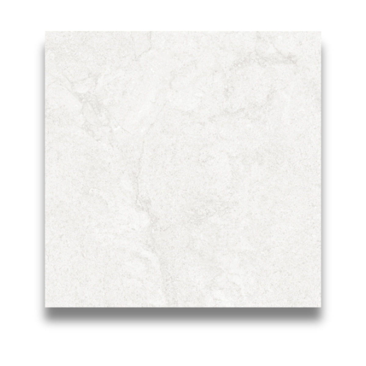 Edon Snow White  Matt 600x600mm