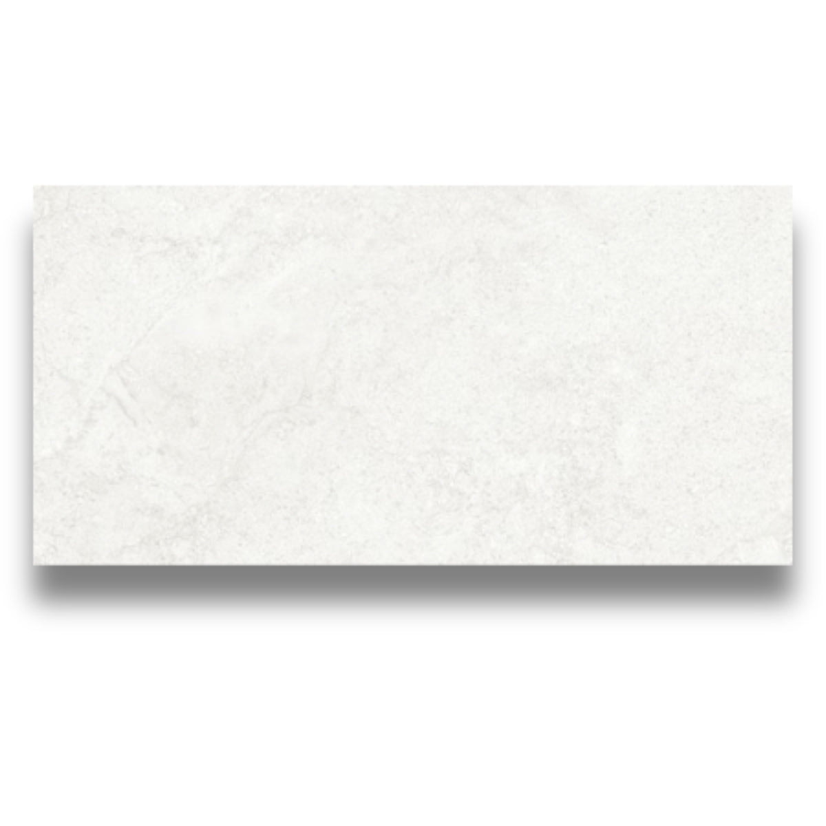 Edon Snow White Matt 600x1200mm