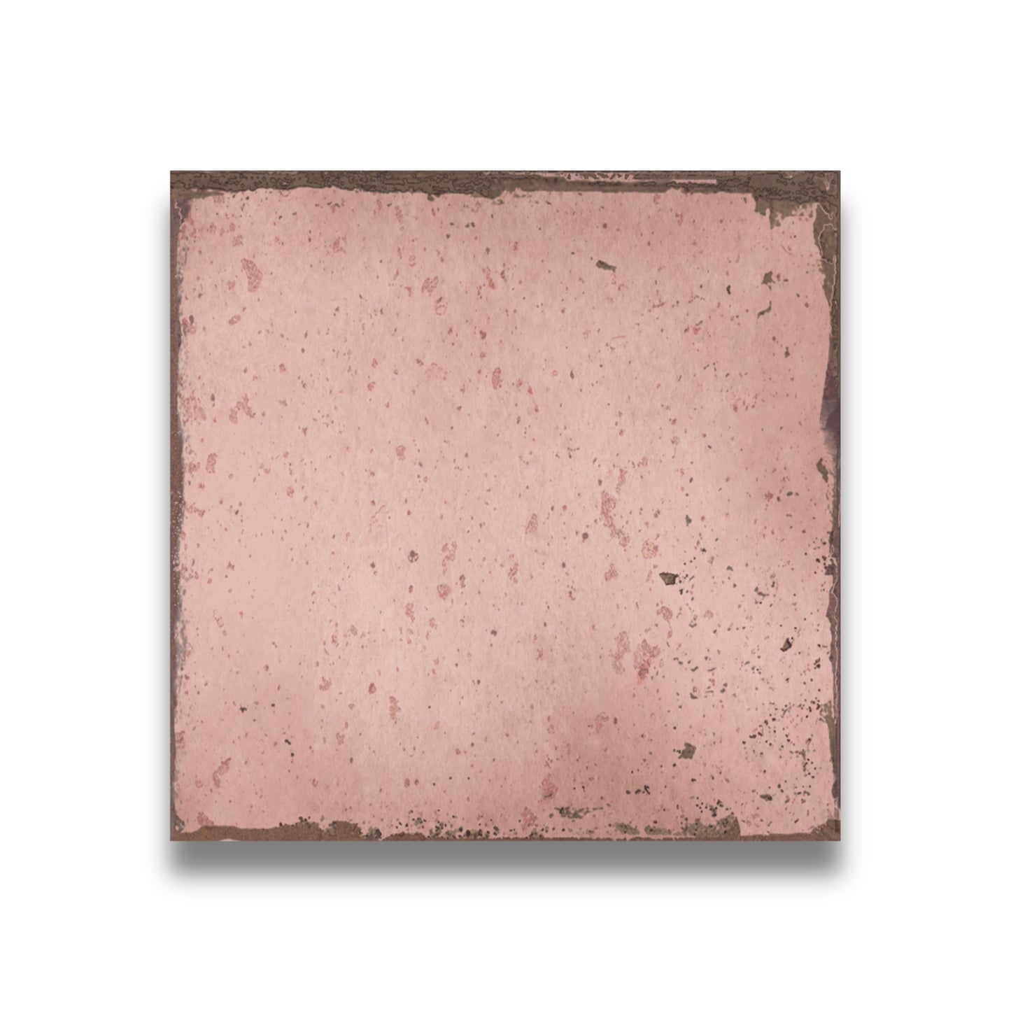 Amazonia Square Coral