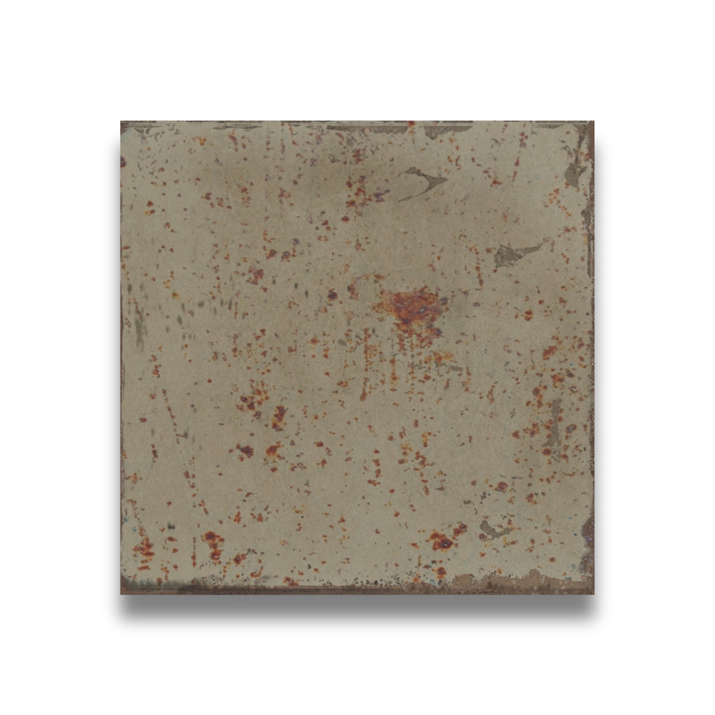 Amazonia Square Moss