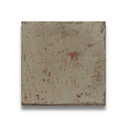 Amazonia Square Moss