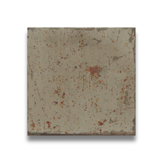 Amazonia Square Moss