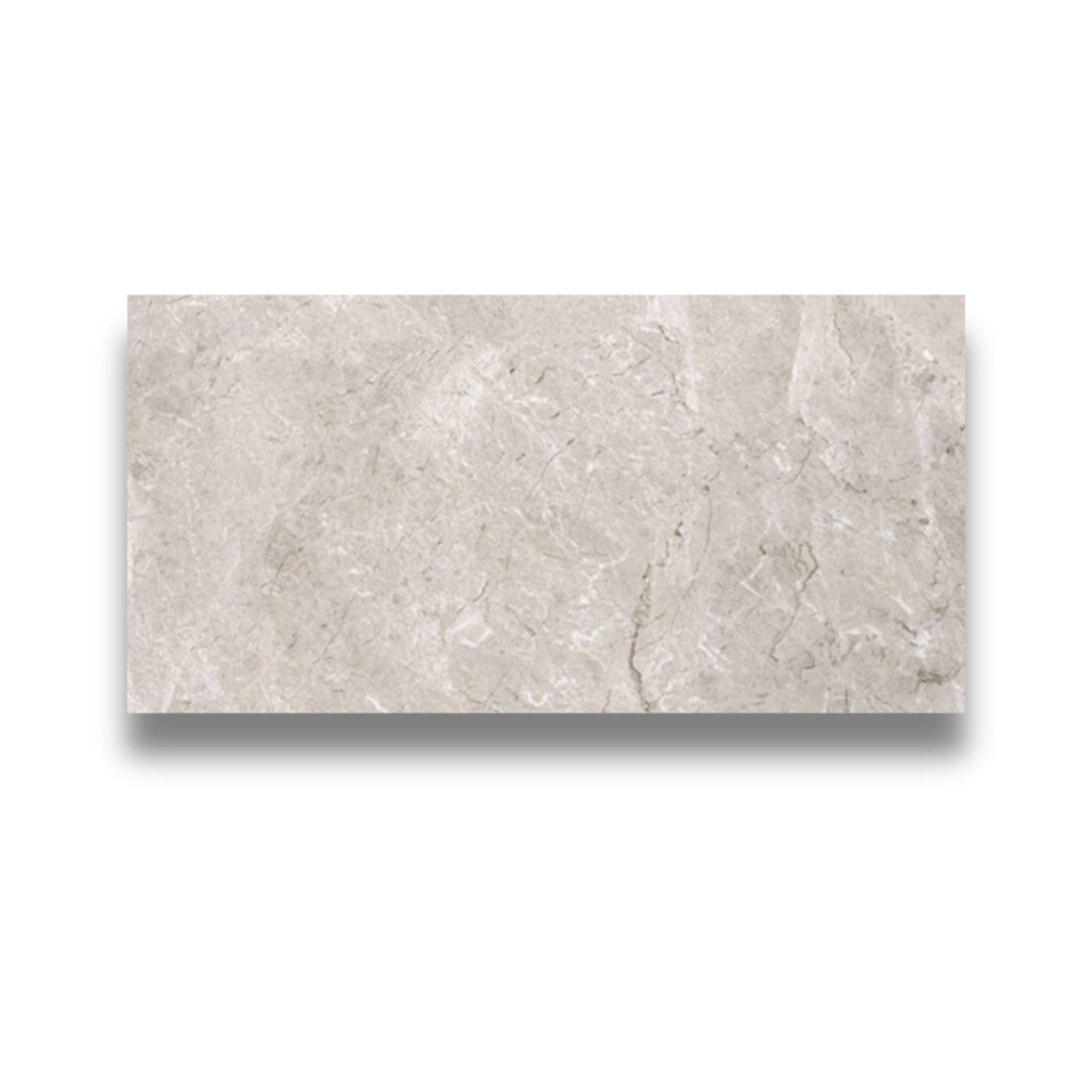 True North Grey Gloss 300x600mm