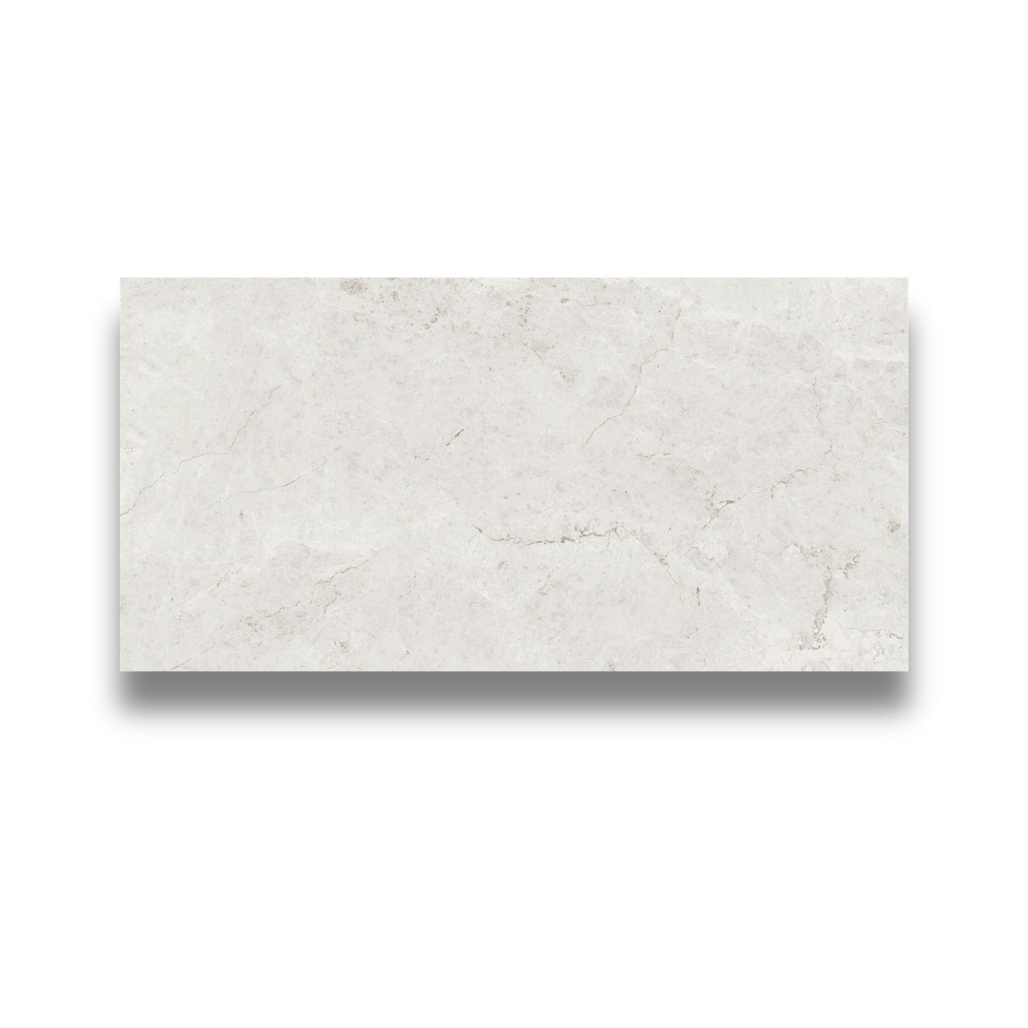 True North White Gloss 300x600mm