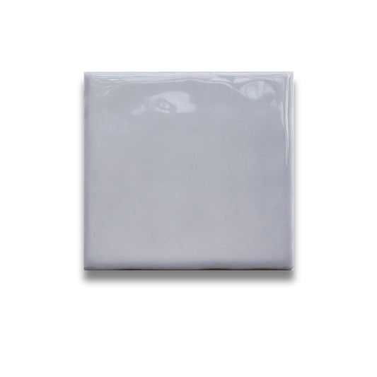 Basics Grey Gloss 100x100mm