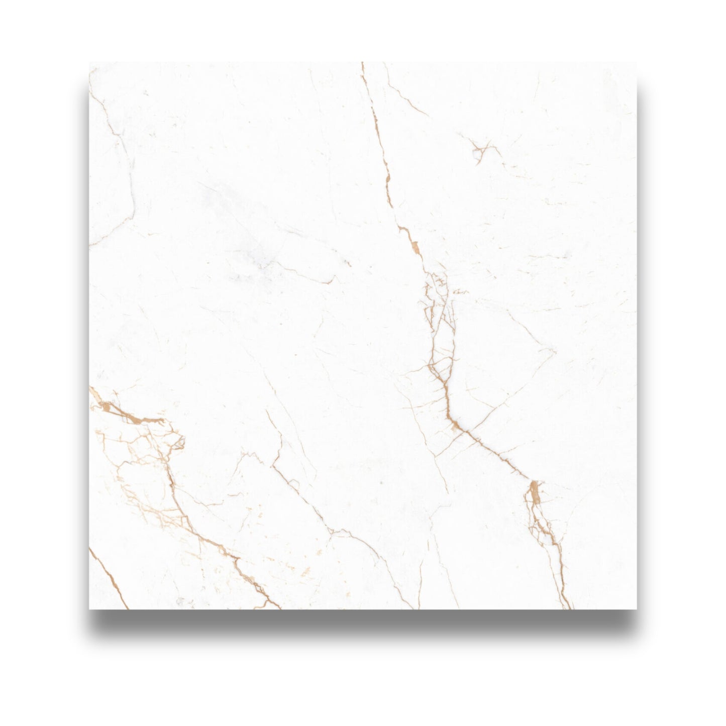 Segesta Bianco 600x600mm