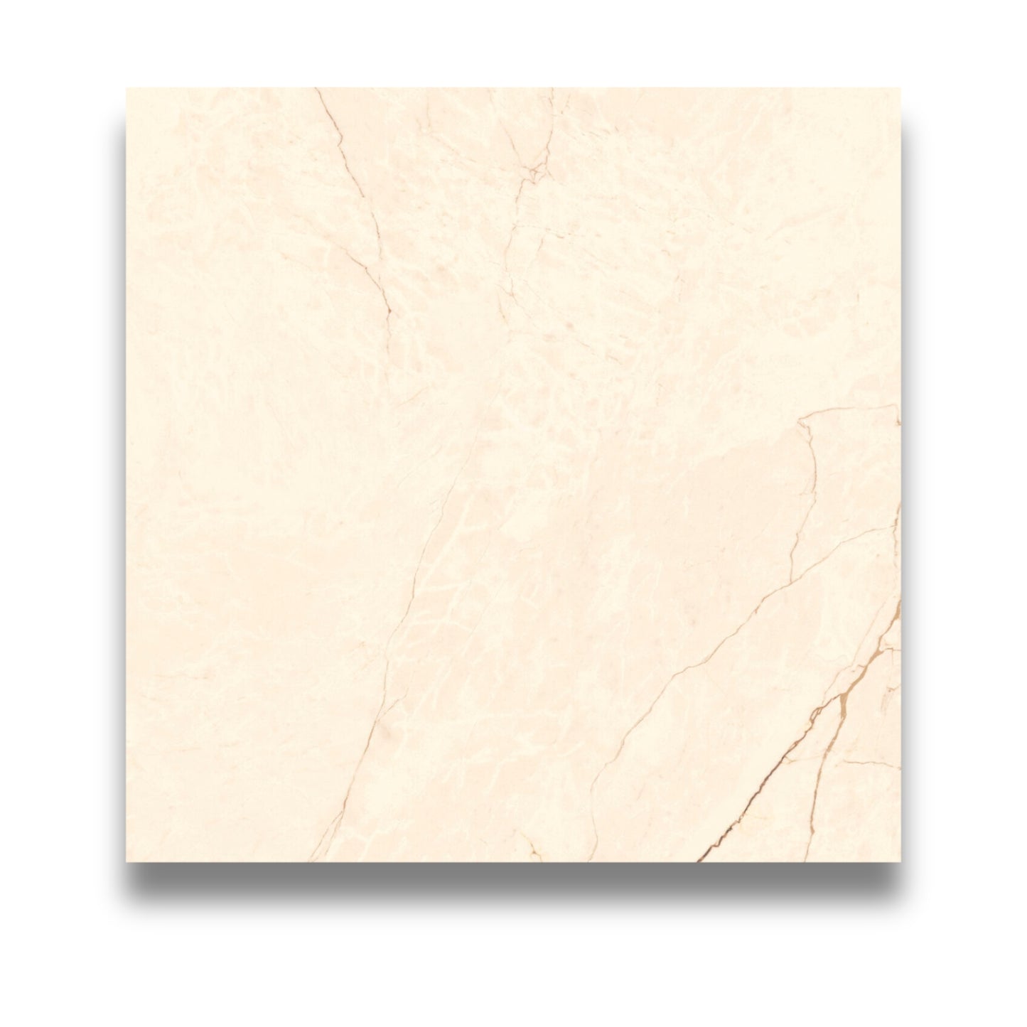 Segesta Avorio 600x600mm