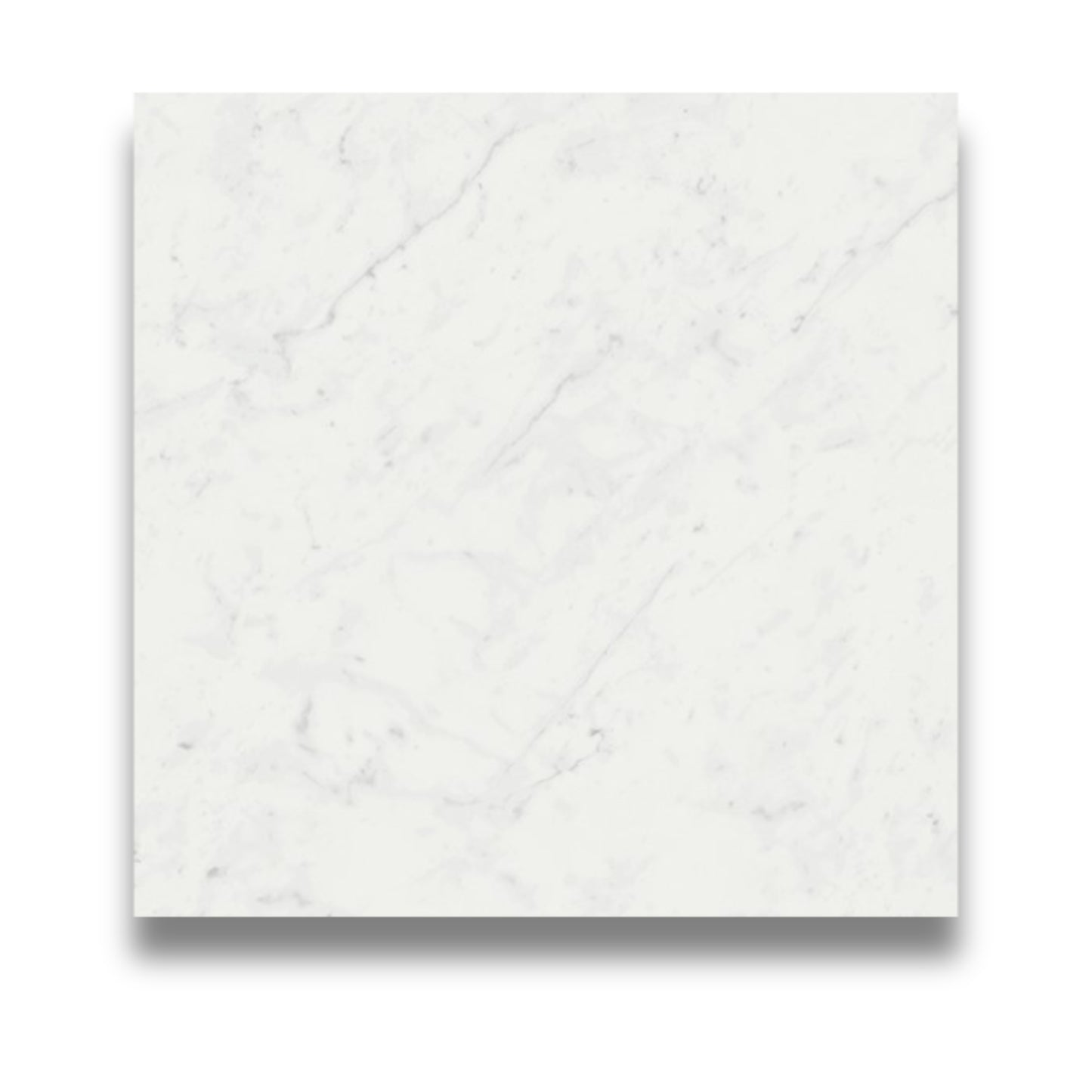 Carrara Honed 600x600mm