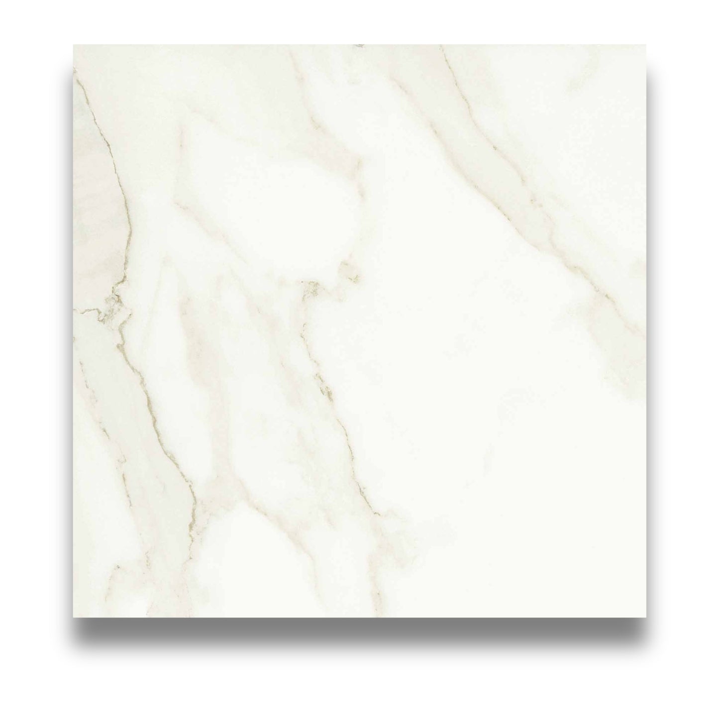 Muse Calacatta 800x800mm