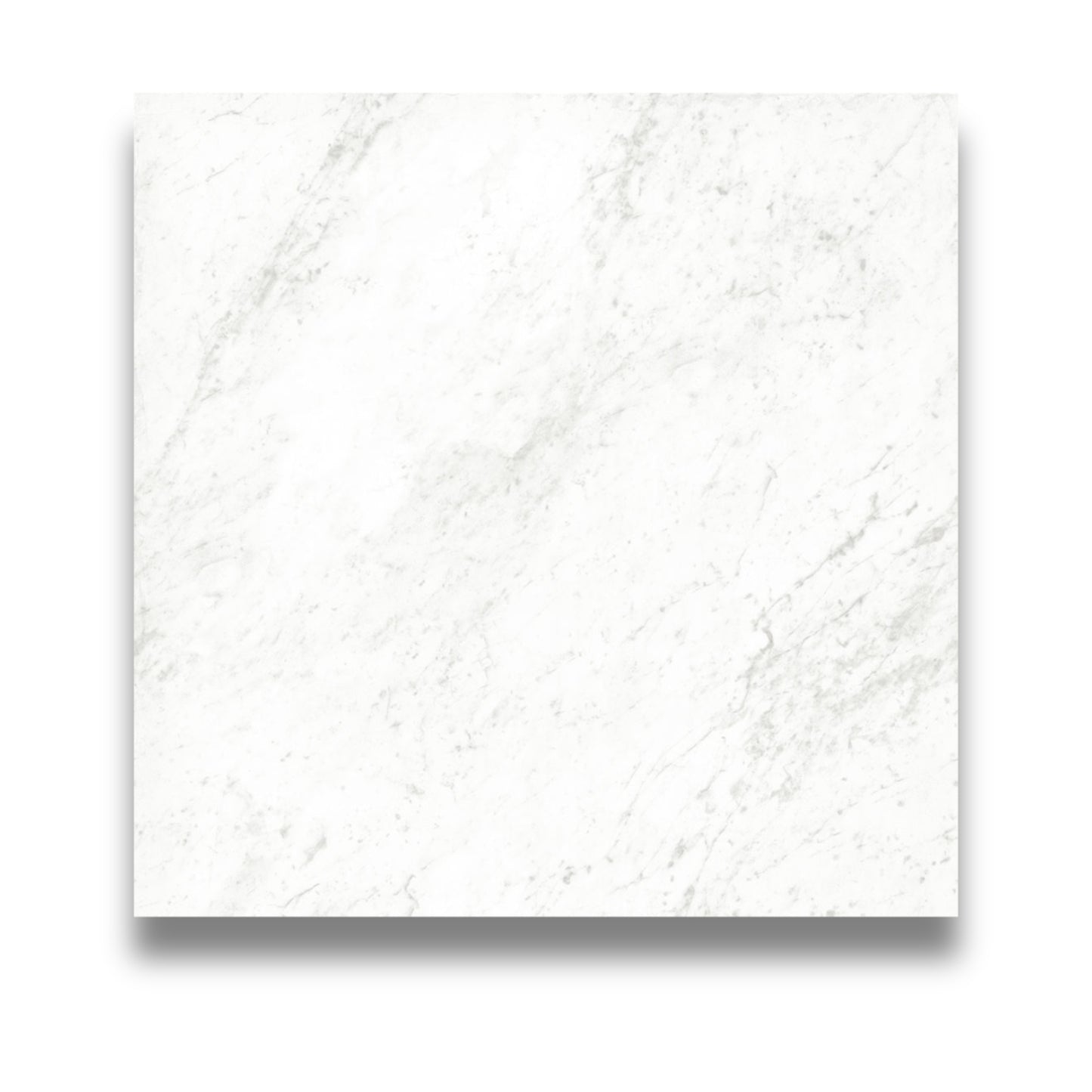 Classica Carrara 600x600mm