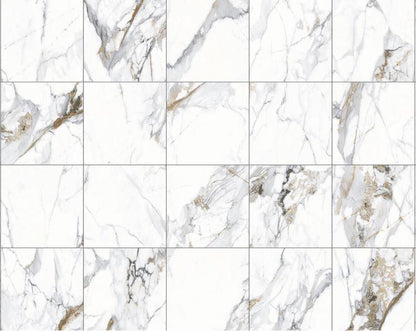 Calacutta Oro Matt 600x600mm