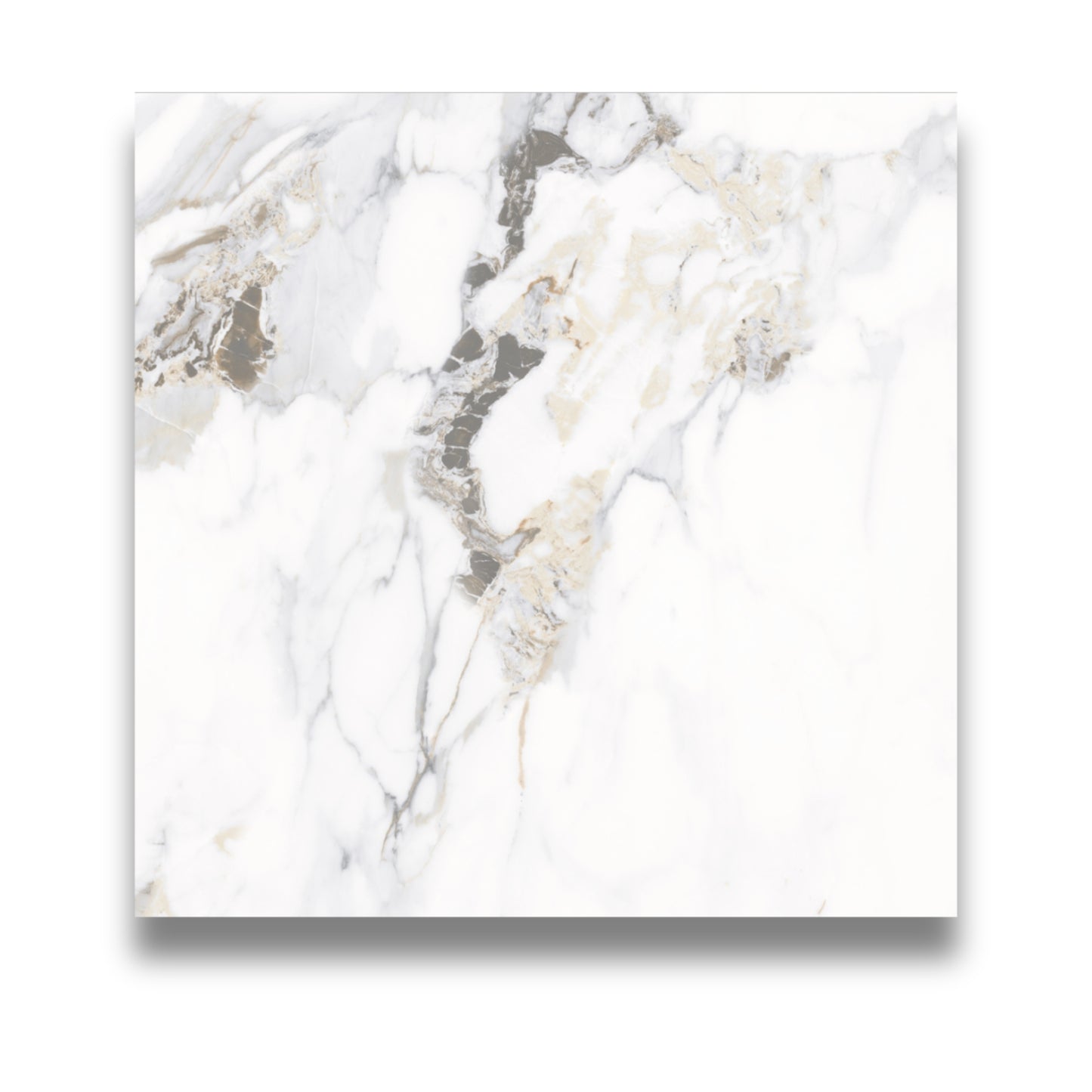 Calacutta Oro Matt 600x600mm
