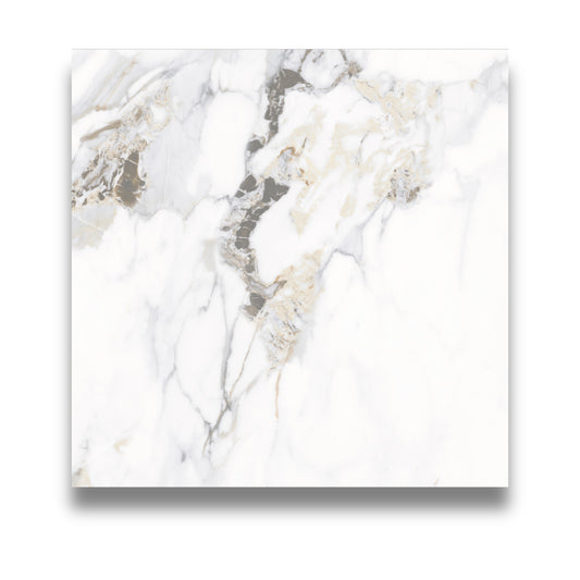 Calacutta Oro Matt 600x600mm