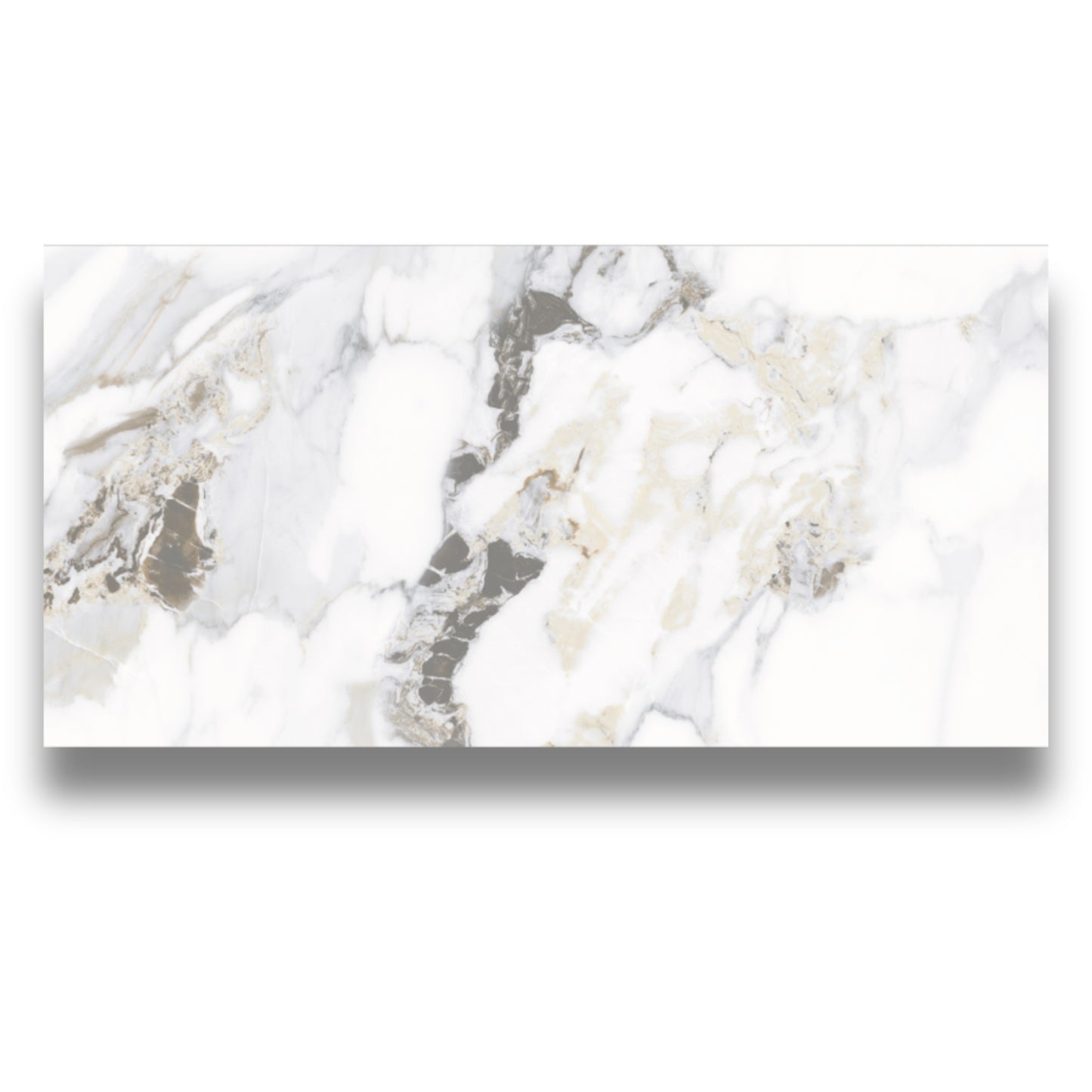 Calacutta Oro Matt 600x1200mm