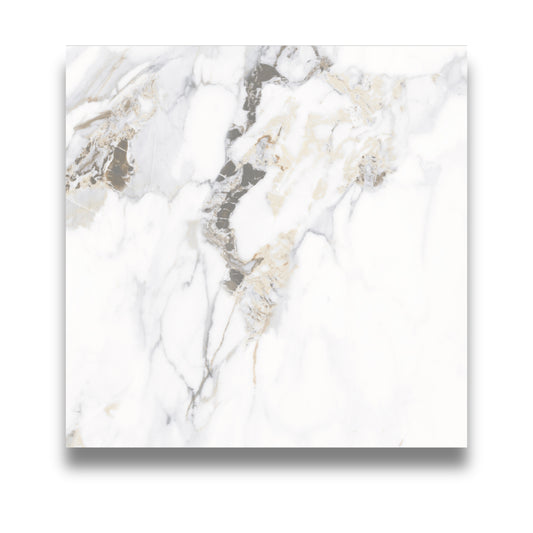 Calacutta Oro Polished 600x600mm