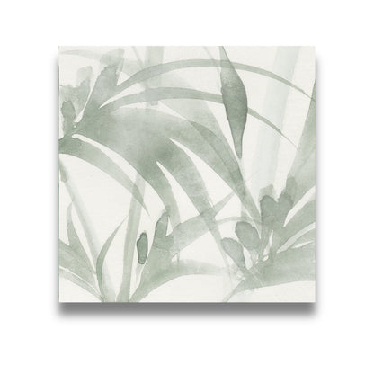 Berlin Bambu Matt 147x147mm