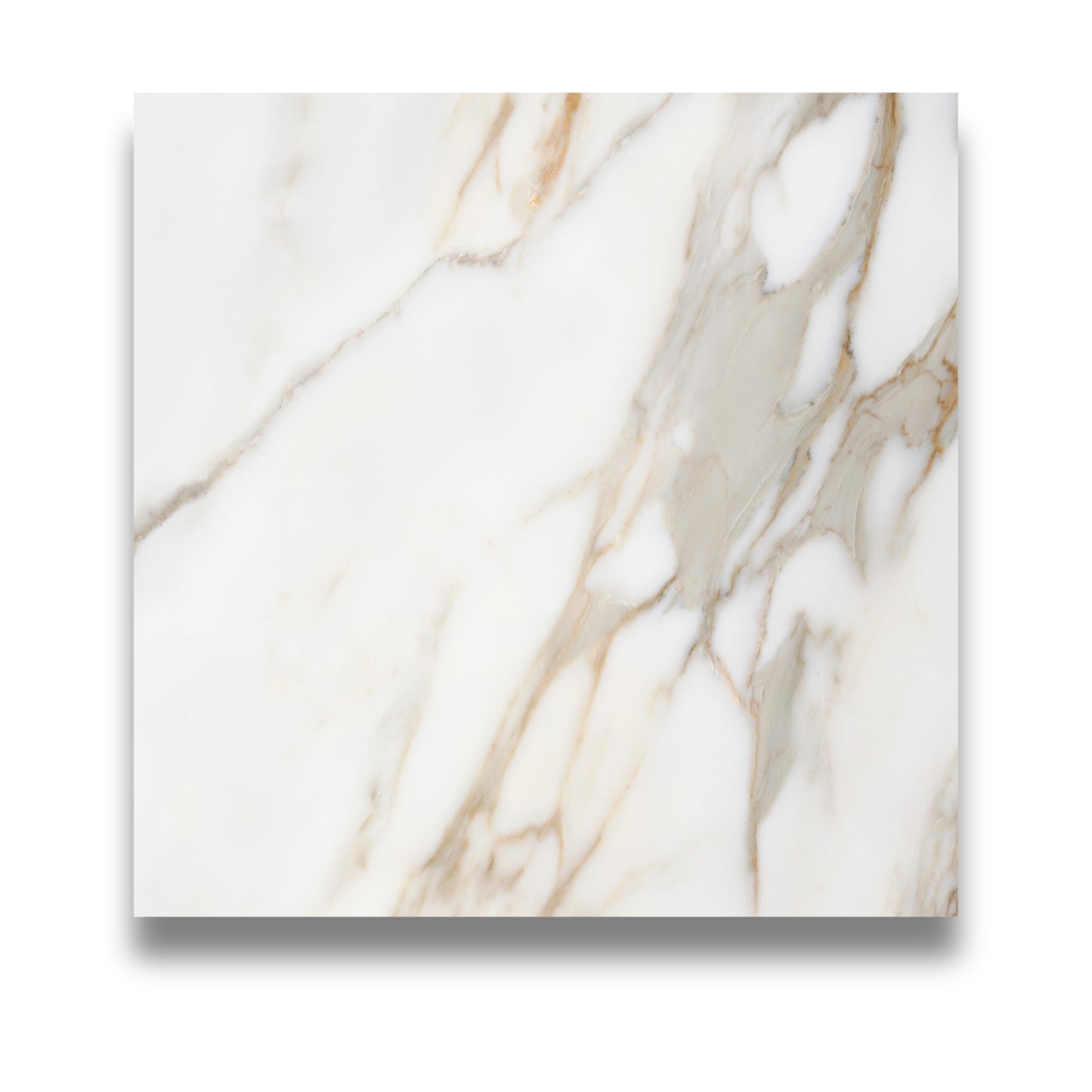 Elite Marble Calacatta Macchia 600x600mm