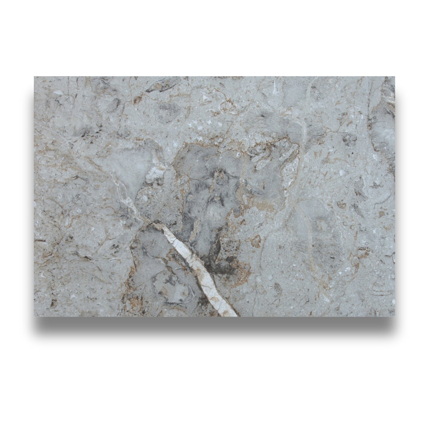 Pietra Europa Breccia Grigia Honed 600x900mm