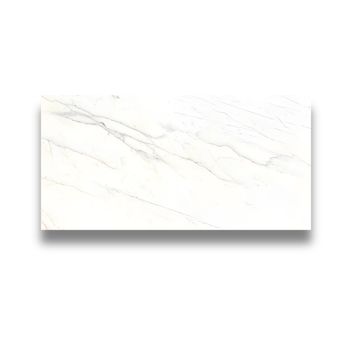 Pietra Europa Calacatta Honed 300x600mm