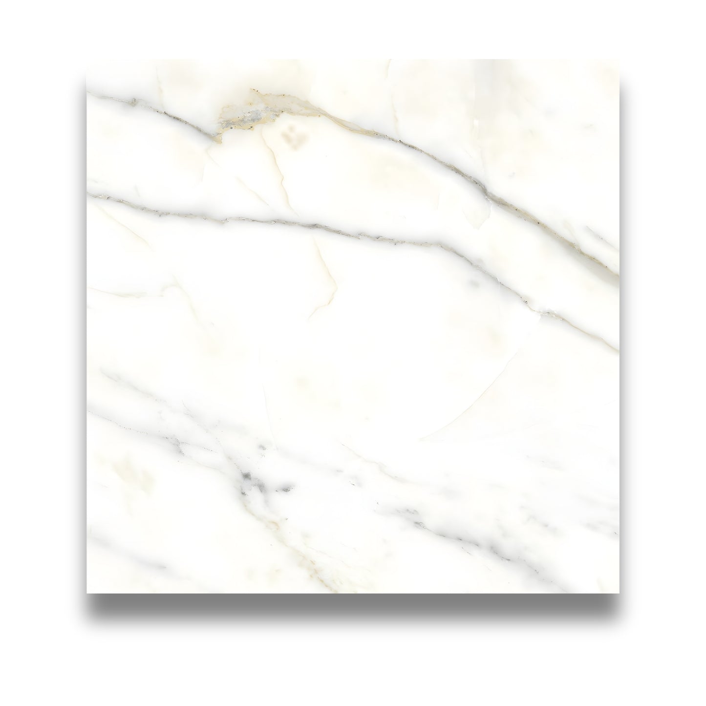 Pietra Europa Calacatta Honed 600x600mm