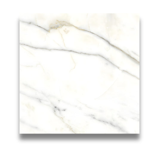 Pietra Europa Calacatta Honed 600x600mm