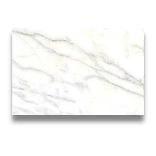 Pietra Europa Calacatta Honed 600x900mm