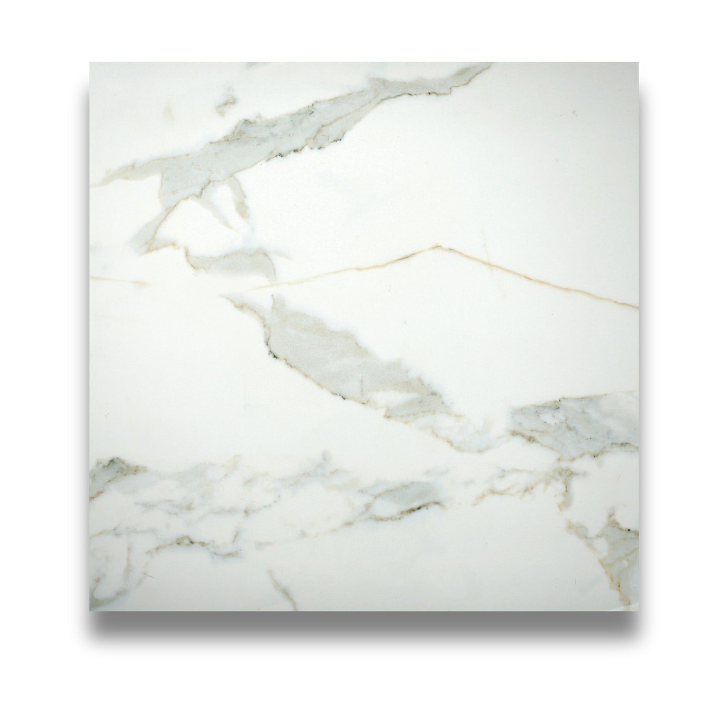 Pietra Europa Calacatta Gold Polished 600x600mm
