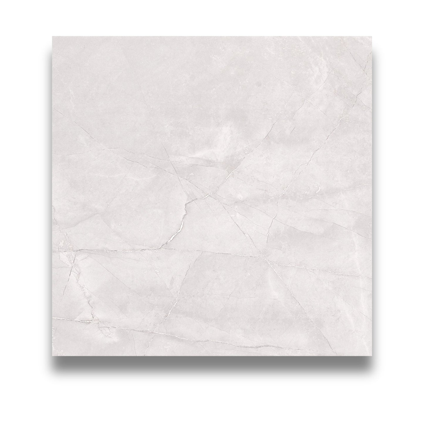 Pietra Europa Ice Grey Polished 600x600mm