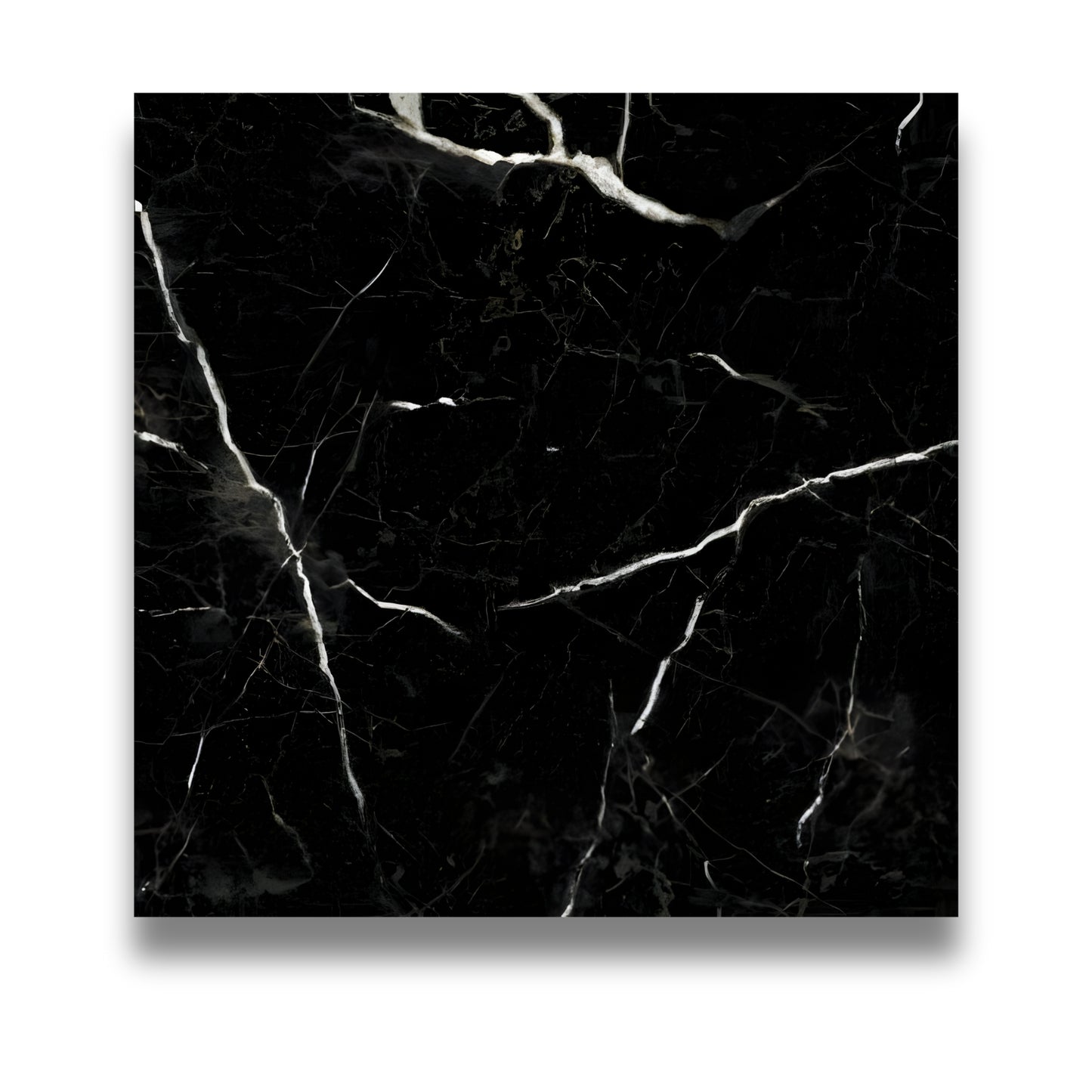 Pietra Europa Nero Marquina Honed 600x600mm