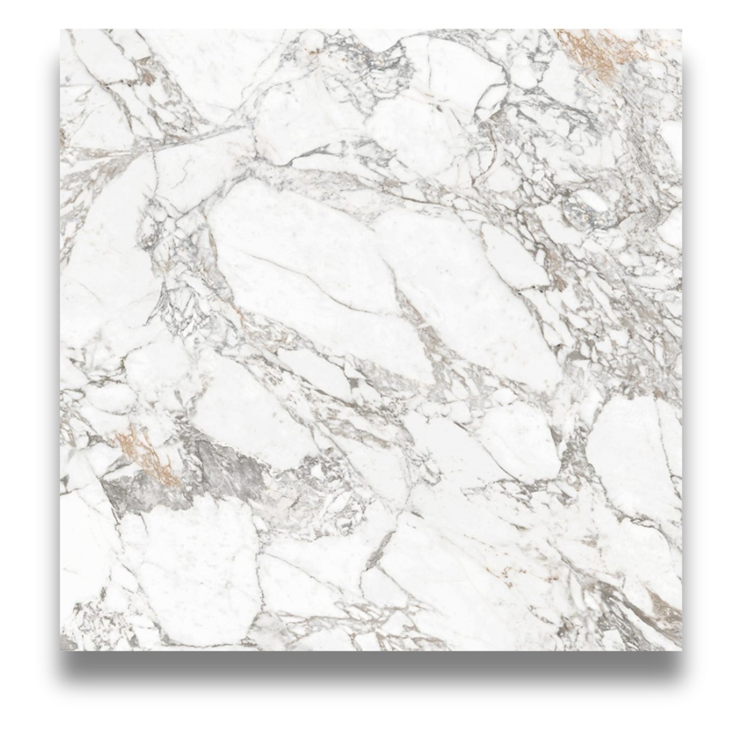 Superb Marble Arabescato 1200x1200mm