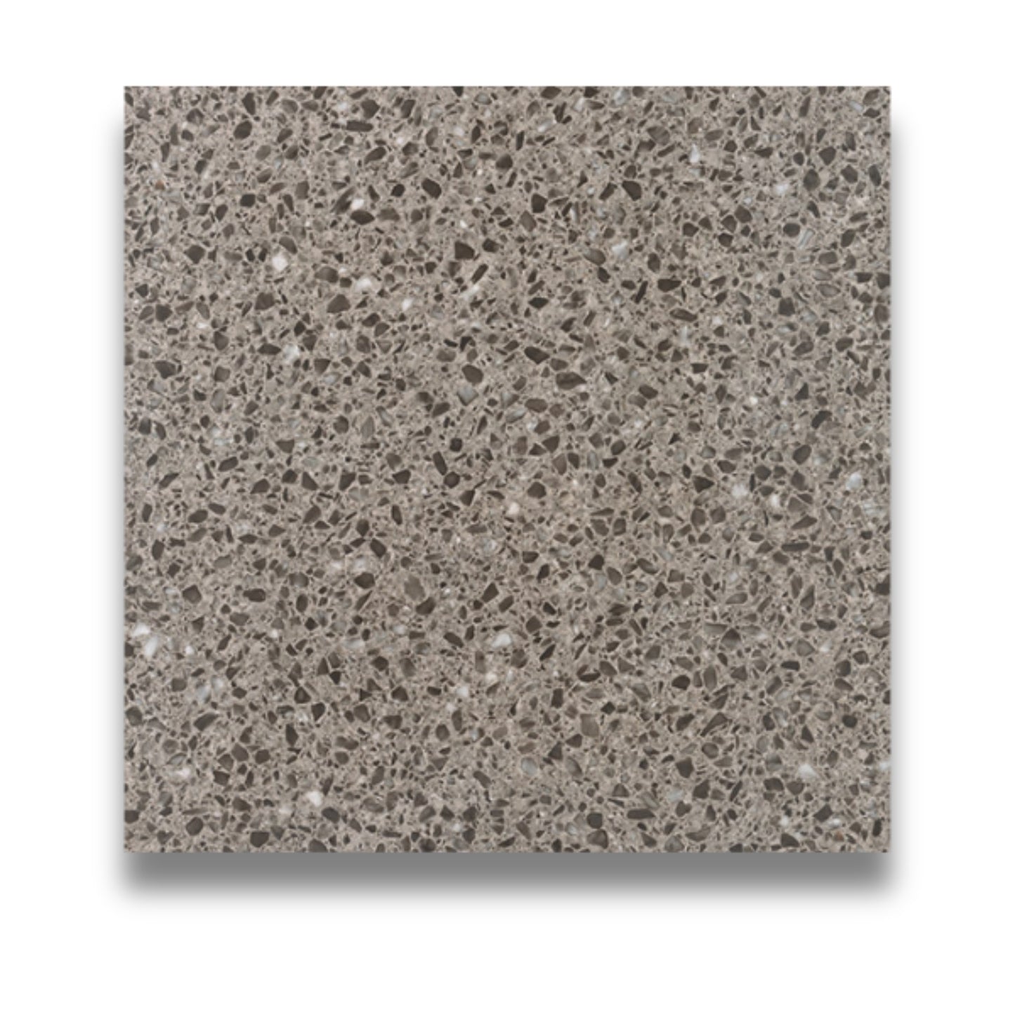 Terrazzo Venezia Grigio Polished 600x600mm