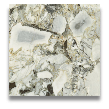 Wonderland White Beauty 1200x1200mm