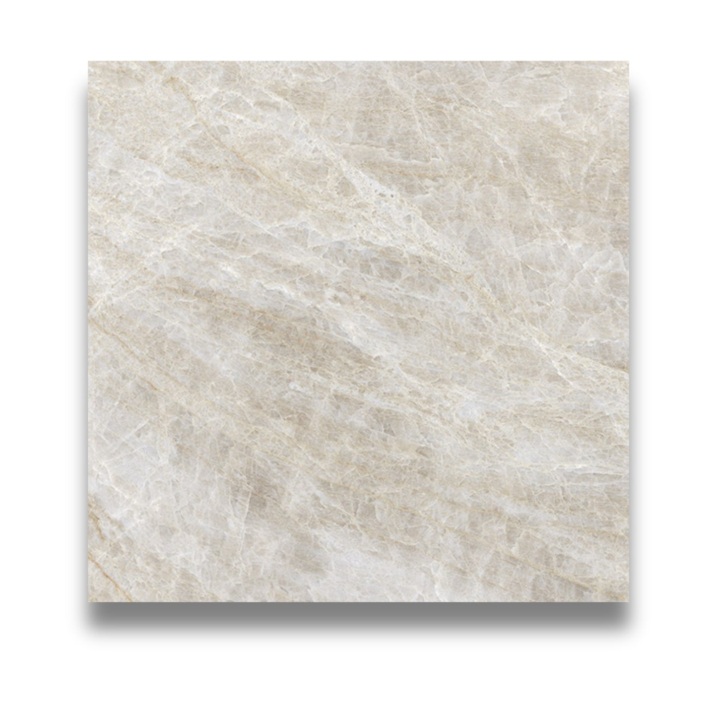 Taj Mahal Polished 600x600mm