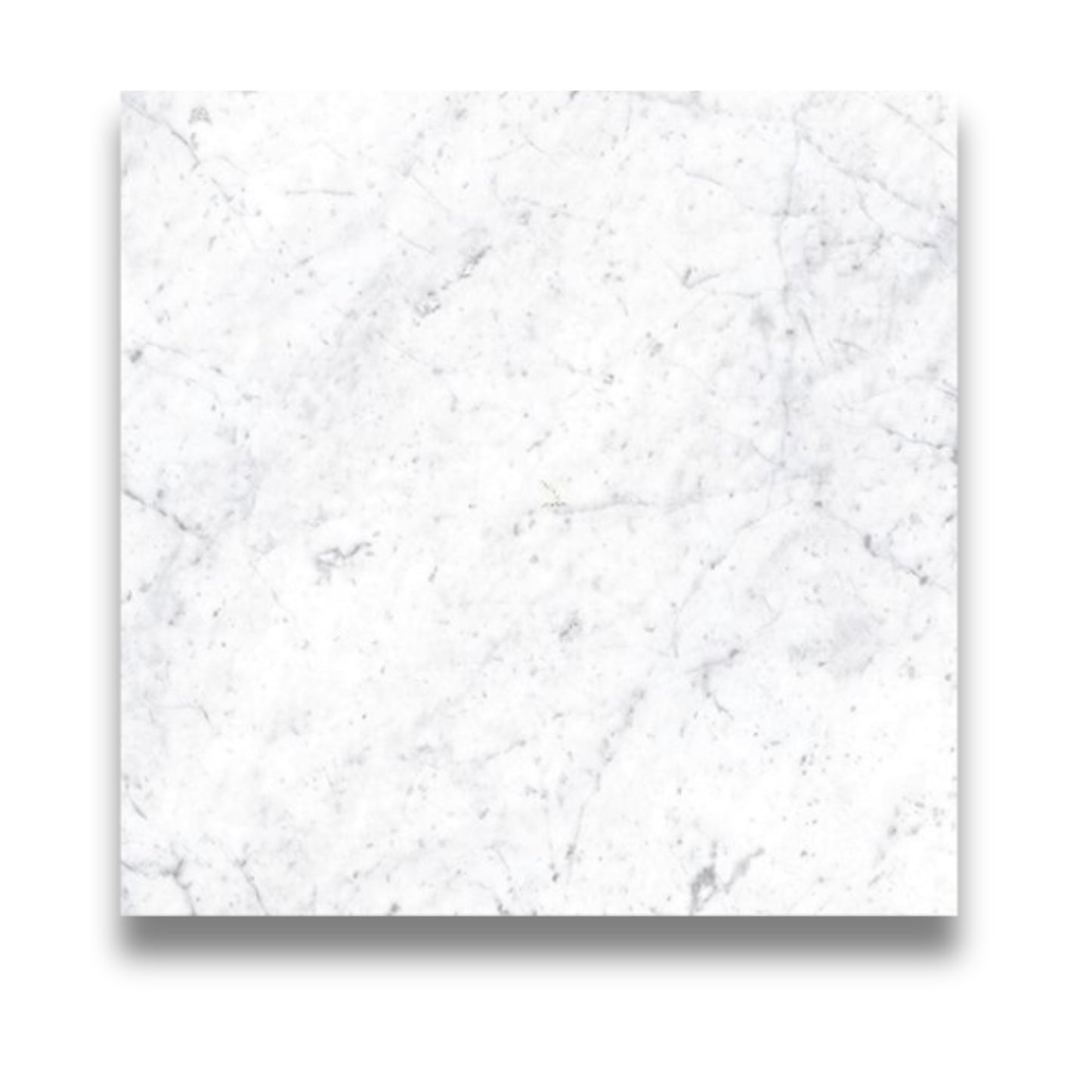 Pietra Europa Carrara Venatino Honed 600x600mm