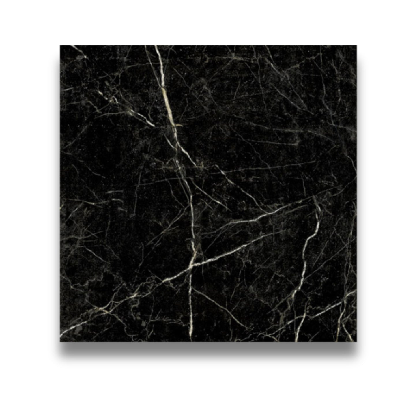 Pietra Europa Nero Marquina Honed 300x300mm