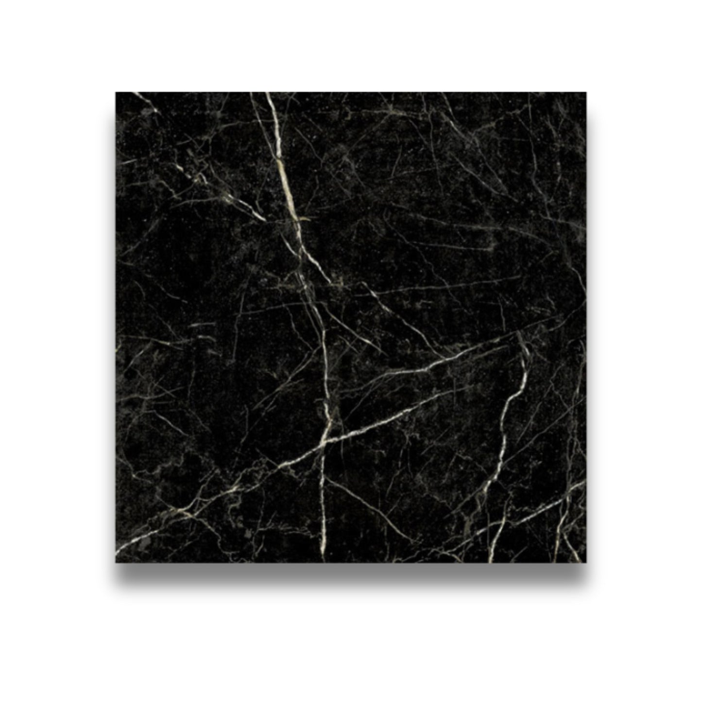 Pietra Europa Nero Marquina Honed 150x150mm