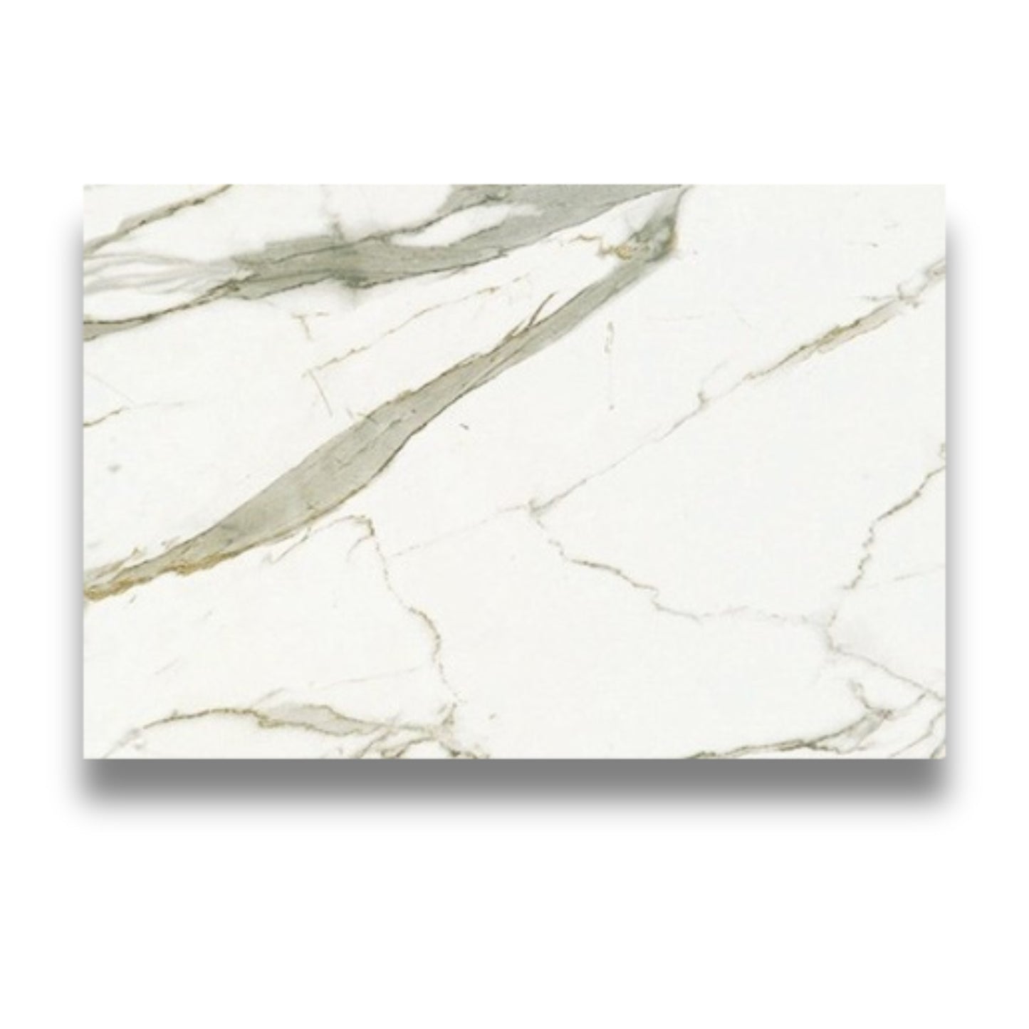 Pietra Europa Statuario Venato Honed 600x900mm