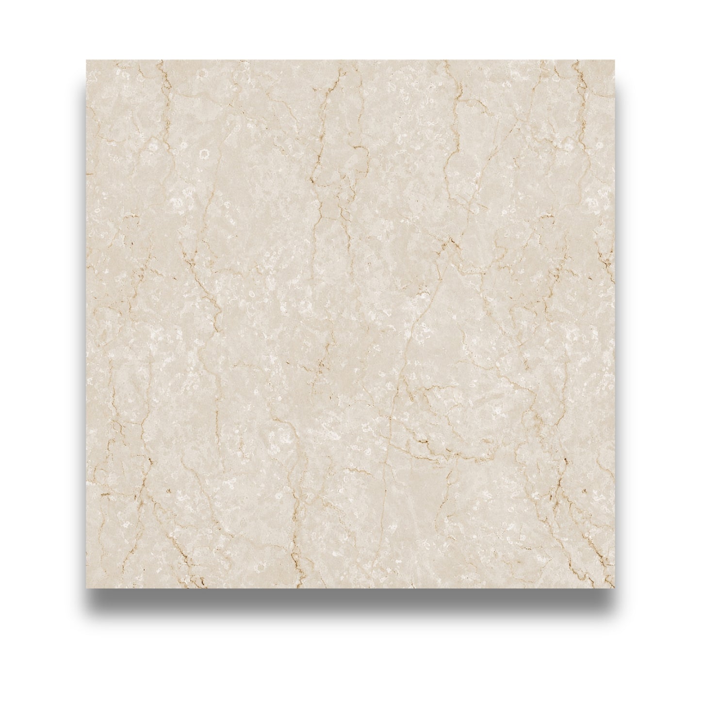 Mind Belfiore Cream Molato Honed 600x600mm