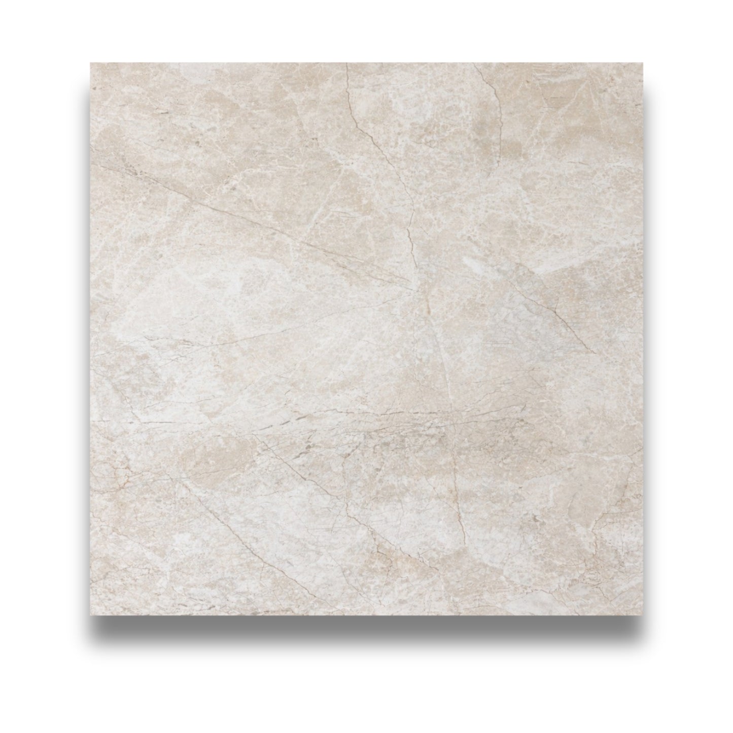 Scotia Matt 600x600mm