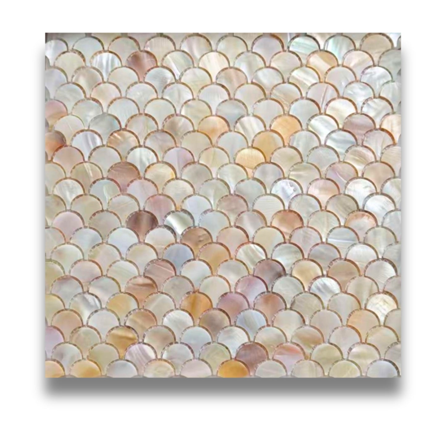 Fishscale Seashell Natural