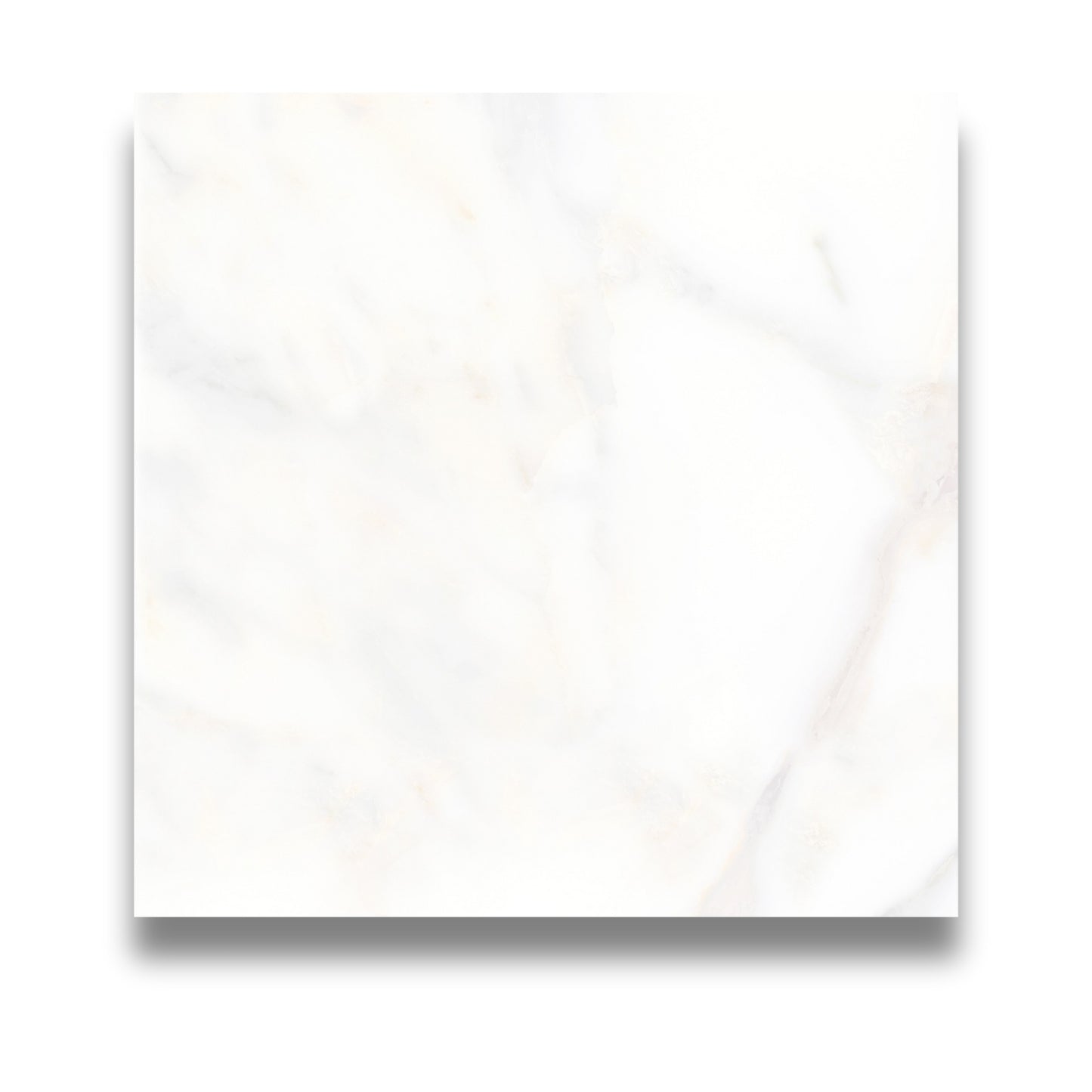 Calacatta Gold Satin 600x600mm